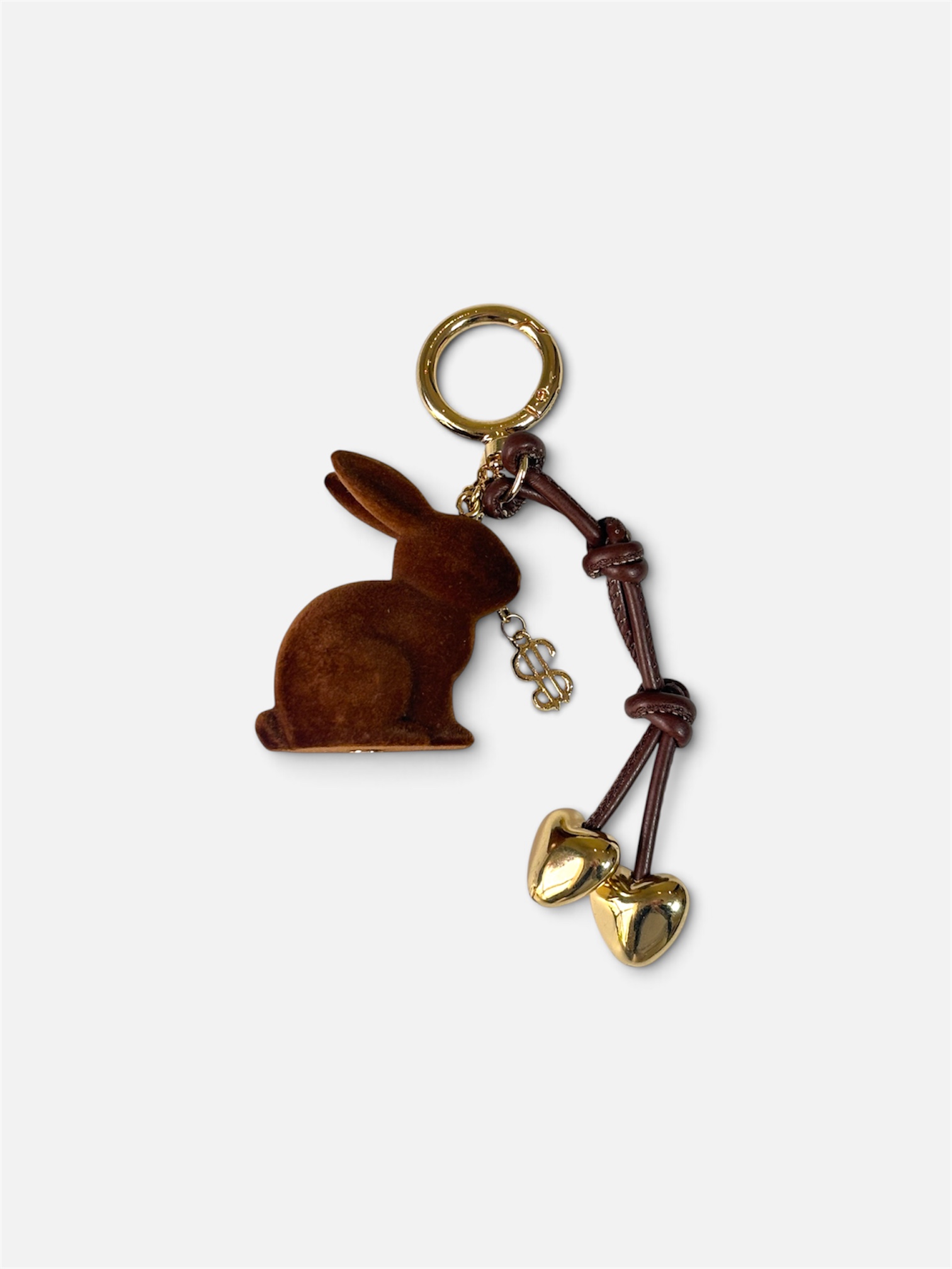 Bunny in Chocolat