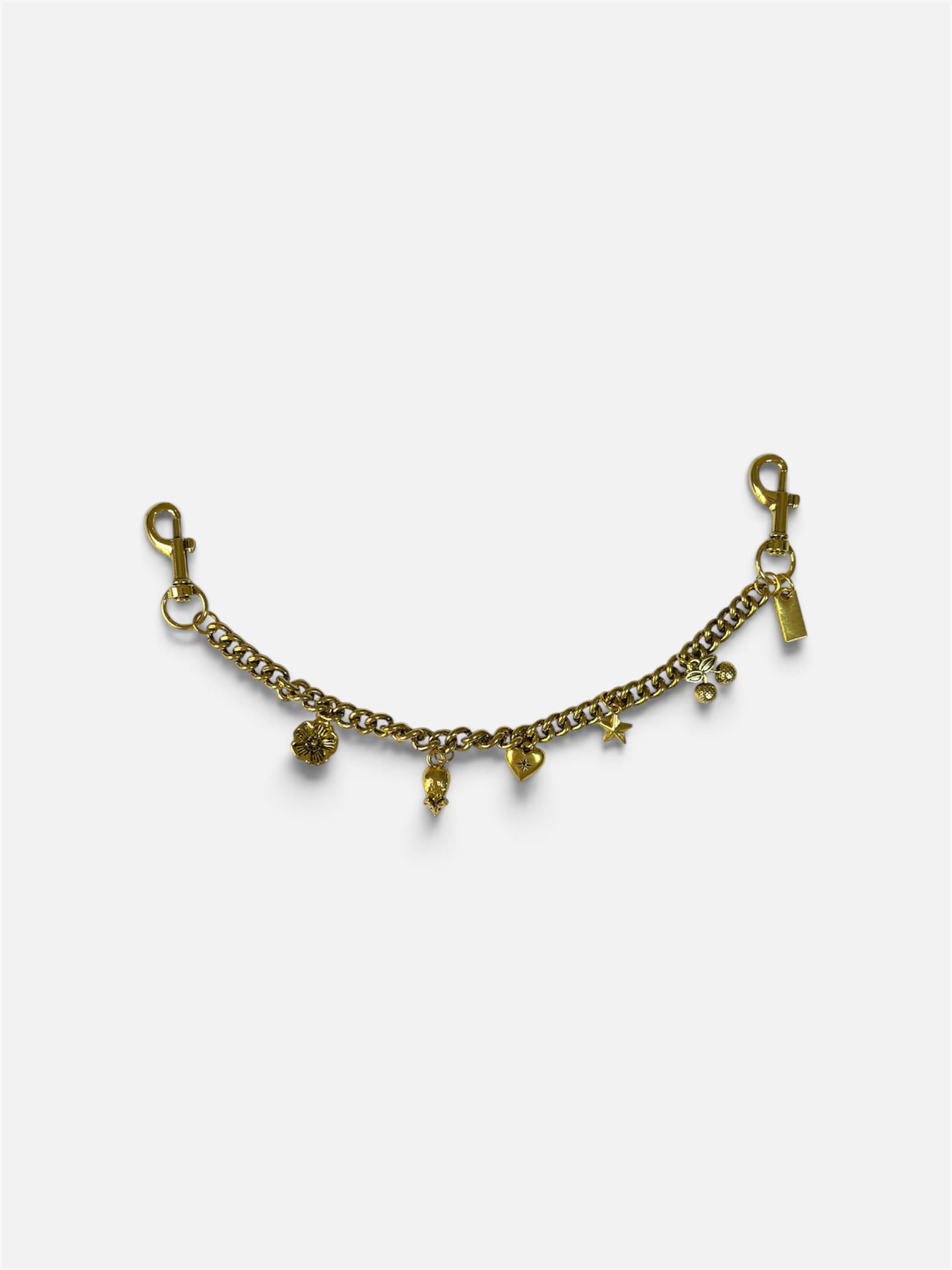 Golden Charm Chain